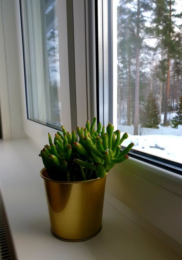 Курортные отели Resort Hotel Norppa Савонлинна