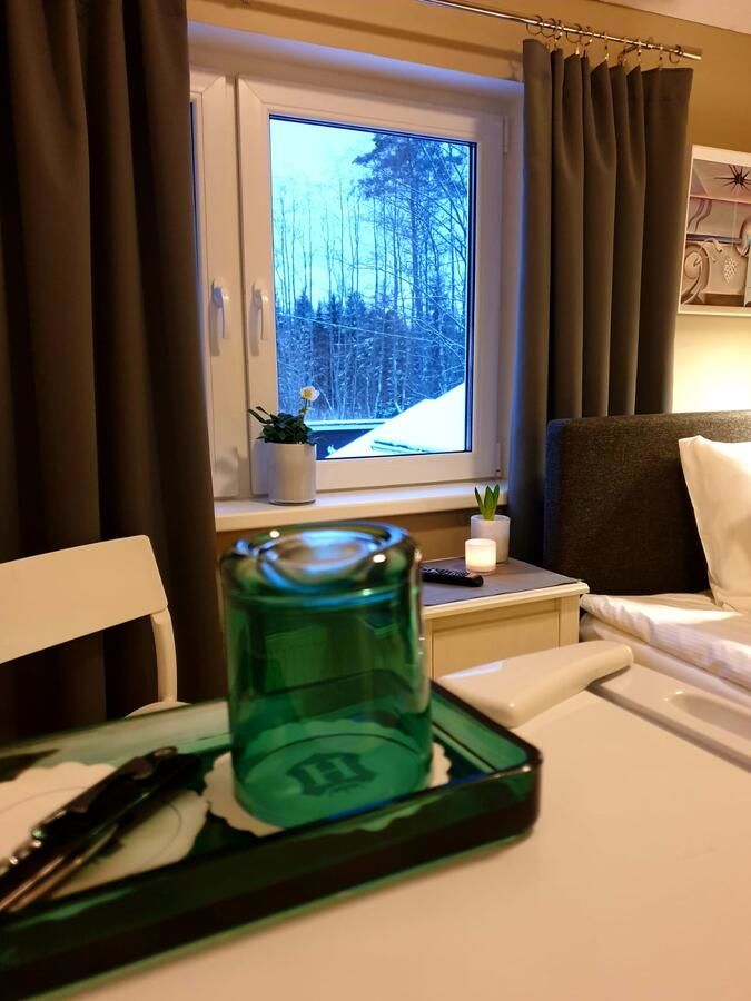 Курортные отели Resort Hotel Norppa Савонлинна
