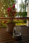 Курортные отели Resort Hotel Norppa Савонлинна-1