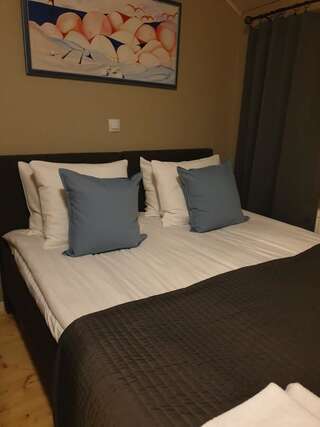 Курортные отели Resort Hotel Norppa Савонлинна Двухместный номер с 1 кроватью-5